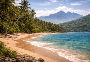 A golden beach with forested mountains behind